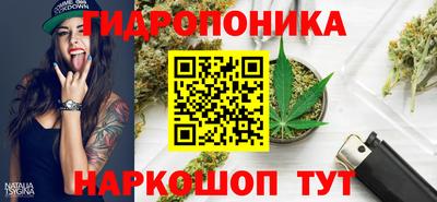 гашиш Тара