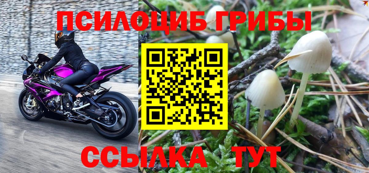 Галлюциногенные грибы GOLDEN TEACHER Оренбург